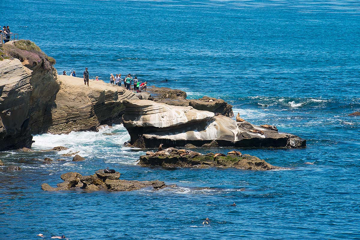 La Jolla Cove