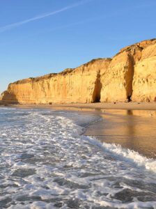 Torrey Pines Beach