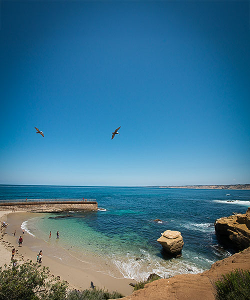 San Diego Children's Pool Beach