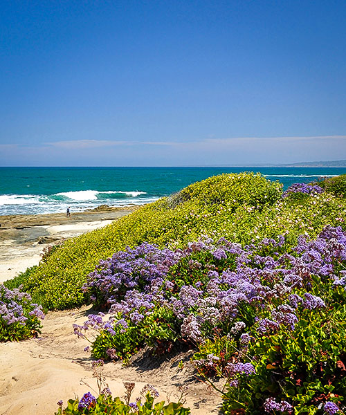 San Diego Coastline
