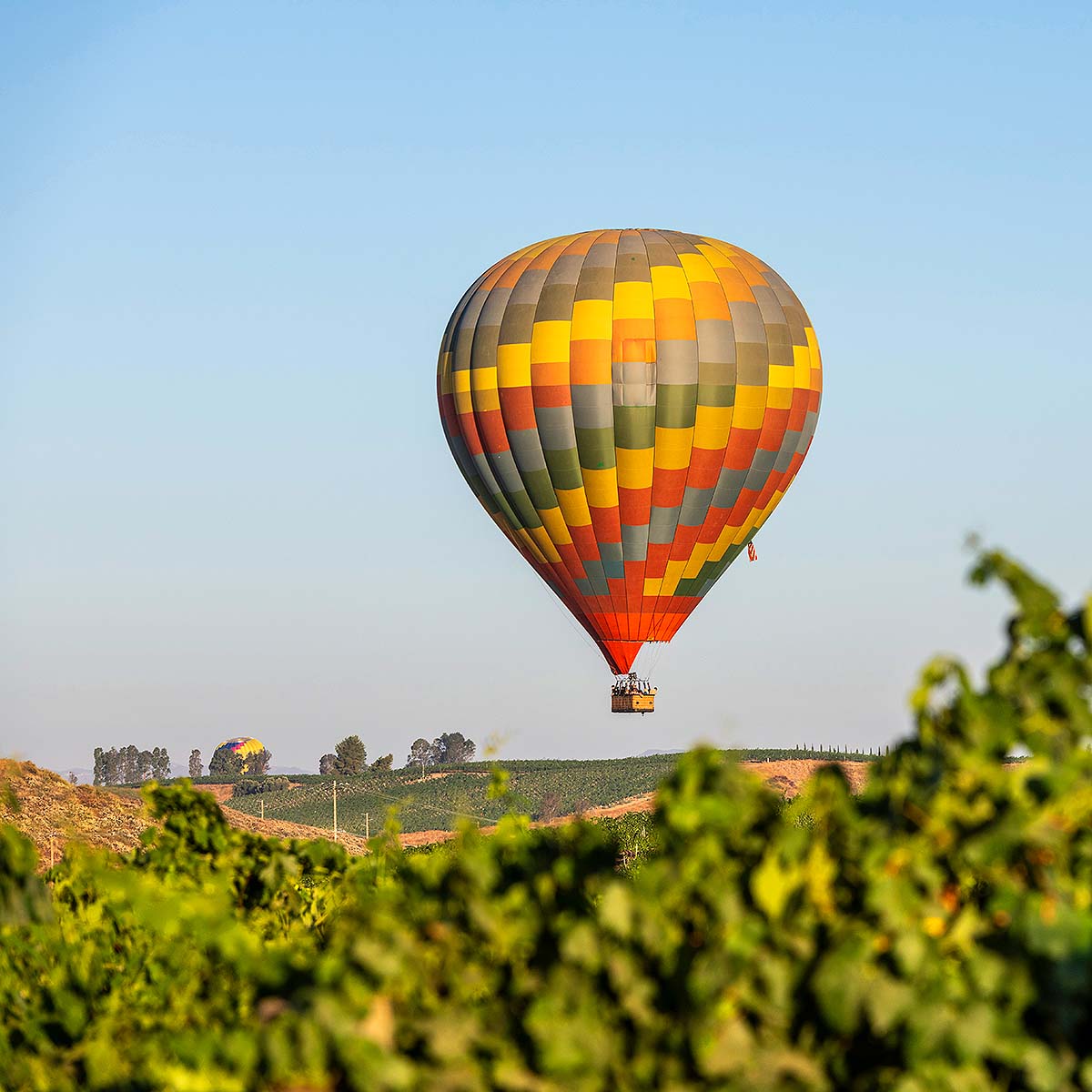 Temecula Wine Country San Diego