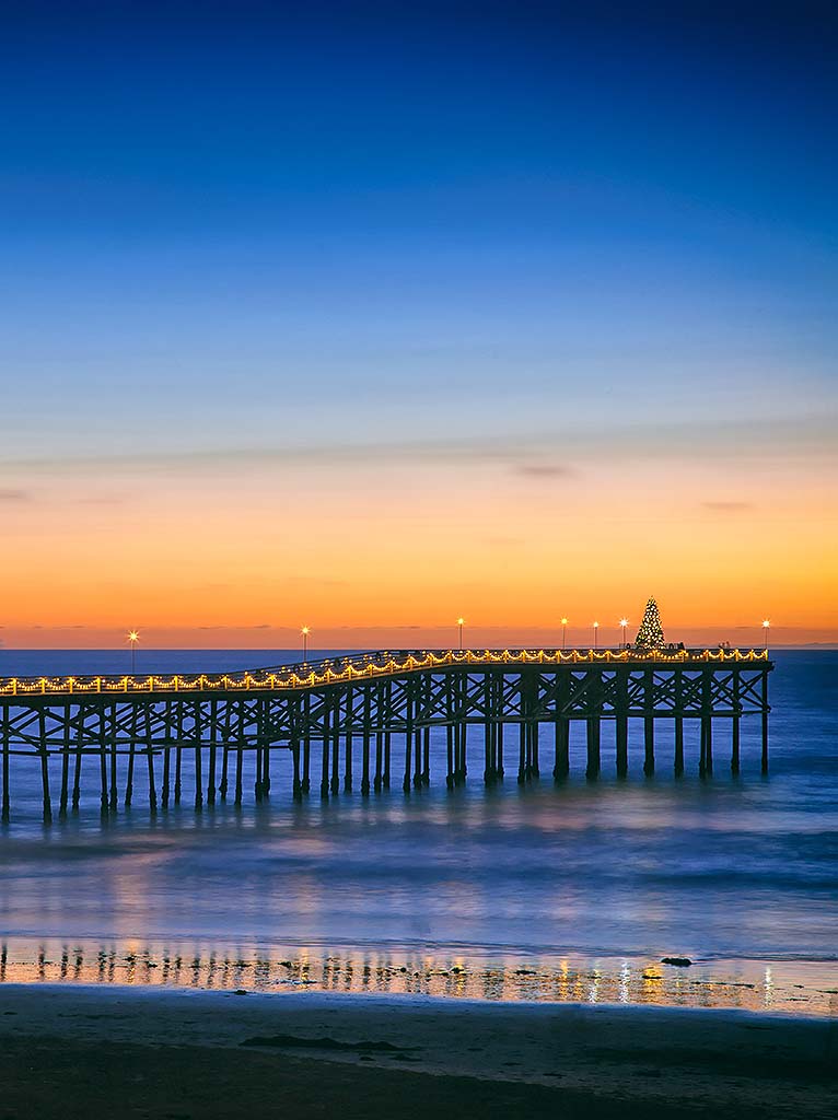 Winter in San Diego features sunny skies, and palm trees